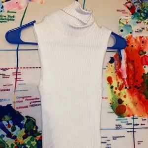 Sleeveless turtleneck